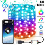 App Control Fairy Lights for Christmas Tree Decoration