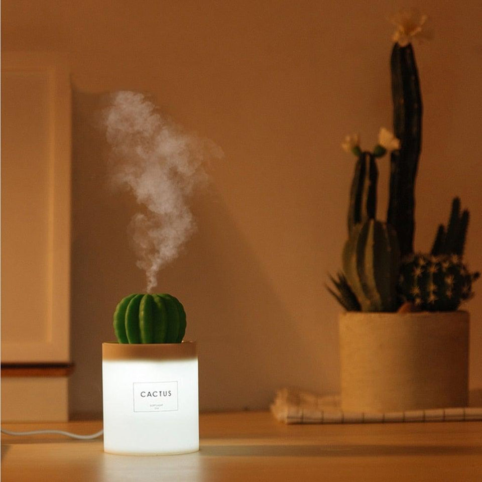 Cactus Humidifier