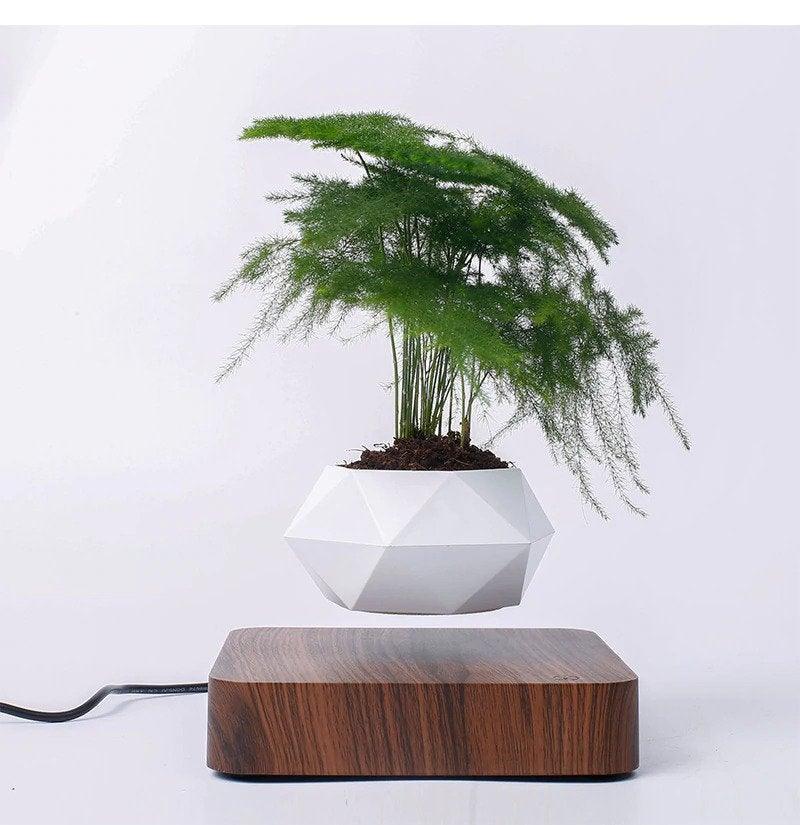 Exporting bonsai pot、This online shop specializes in High-value